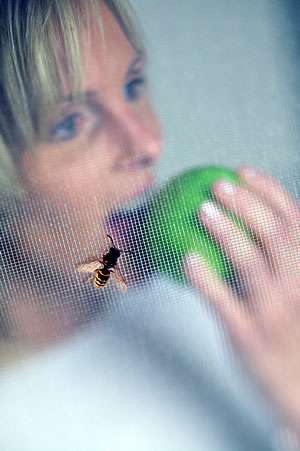 Der Stoff aus dem die Träume sind: